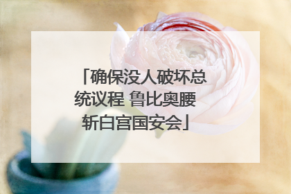确保没人破坏总统议程 鲁比奥腰斩白宫国安会