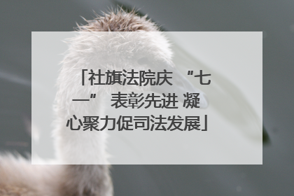 社旗法院庆 “七一” 表彰先进 凝心聚力促司法发展