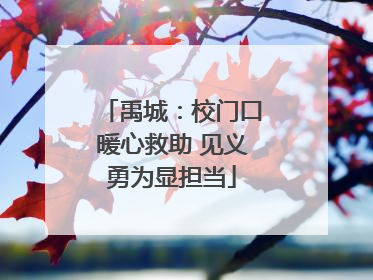 禹城：校门口暖心救助 见义勇为显担当