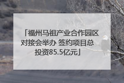 福州马祖产业合作园区对接会举办 签约项目总投资85.5亿元