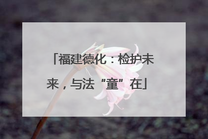 福建德化：检护未来，与法“童”在