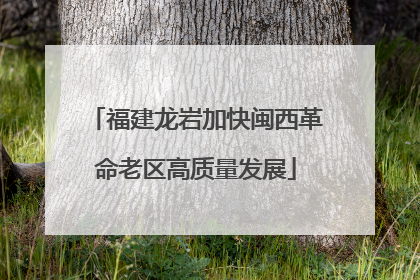 福建龙岩加快闽西革命老区高质量发展