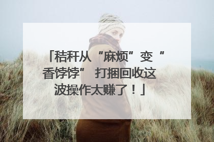 秸秆从“麻烦”变“香饽饽” 打捆回收这波操作太赚了！