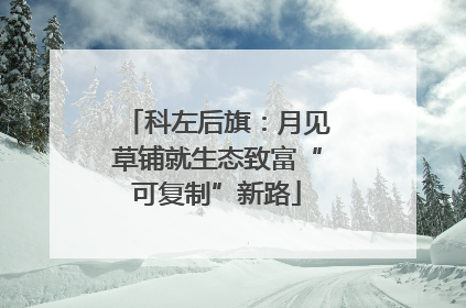 科左后旗：月见草铺就生态致富“可复制”新路