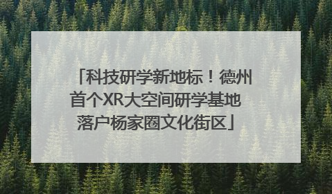 科技研学新地标！德州首个XR大空间研学基地落户杨家圈文化街区