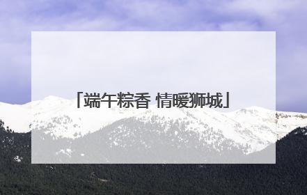 端午粽香 情暖狮城