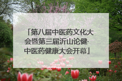 第八届中医药文化大会暨第三届沂山论健·中医药健康大会开幕