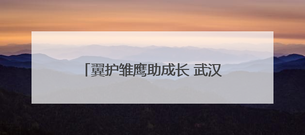 翼护雏鹰助成长 武汉市司法局何湾强戒所开展禁毒宣传进校园活动