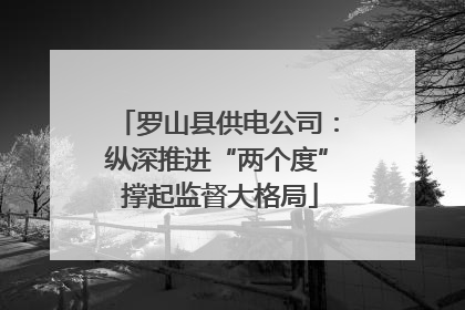 罗山县供电公司：纵深推进“两个度” 撑起监督大格局