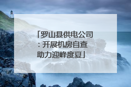 罗山县供电公司：开展机房自查 助力迎峰度夏