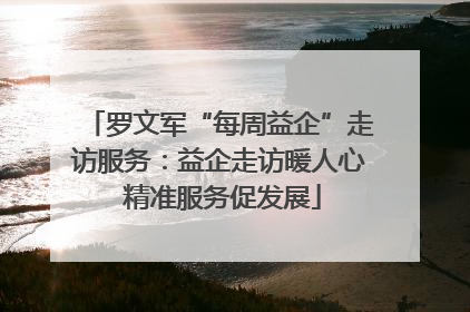 罗文军“每周益企”走访服务：益企走访暖人心 精准服务促发展