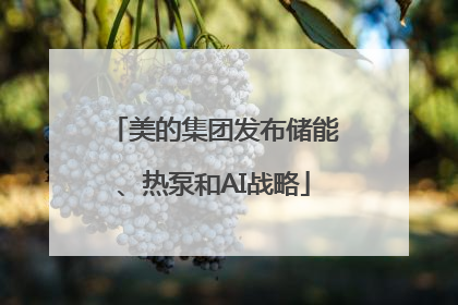 美的集团发布储能、热泵和AI战略