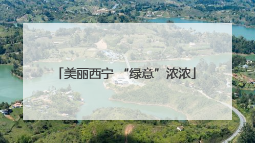 美丽西宁 “绿意”浓浓