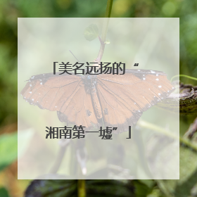 美名远扬的“湘南第一墟”