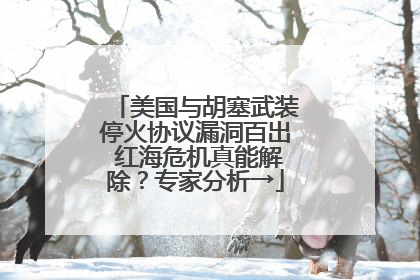 美国与胡塞武装停火协议漏洞百出 红海危机真能解除？专家分析→