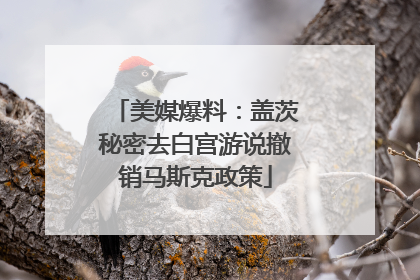美媒爆料：盖茨秘密去白宫游说撤销马斯克政策