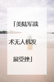 美陆军战术无人机发展受挫