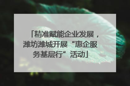 精准赋能企业发展，潍坊潍城开展“惠企服务基层行”活动