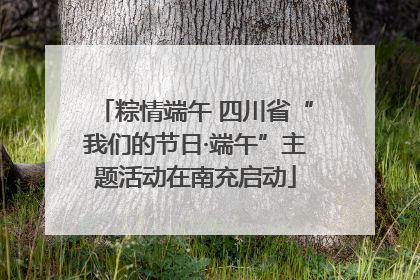 粽情端午 四川省“我们的节日·端午”主题活动在南充启动