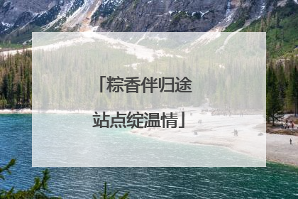 粽香伴归途 站点绽温情