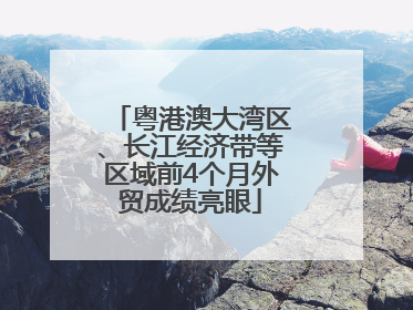 粤港澳大湾区、长江经济带等区域前4个月外贸成绩亮眼