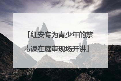 红安专为青少年的禁毒课在庭审现场开讲