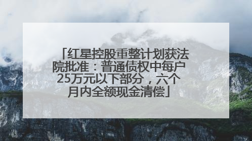 红星控股重整计划获法院批准：普通债权中每户25万元以下部分，六个月内全额现金清偿