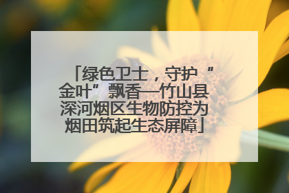 绿色卫士，守护“金叶”飘香—竹山县深河烟区生物防控为烟田筑起生态屏障