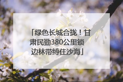 绿色长城合拢！甘肃民勤380公里锁边林带缚住沙海