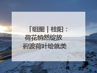 组图｜桂阳：荷花悄然绽放 碧波荷叶绘就美好夏日画卷