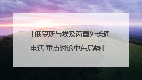 俄罗斯与埃及两国外长通电话 重点讨论中东局势