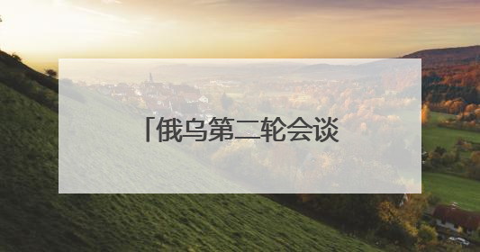 俄乌第二轮会谈前夕 飞出数只 “黑天鹅”