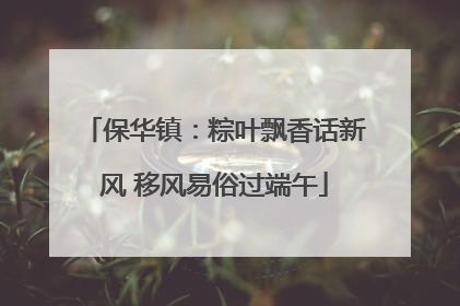 保华镇：粽叶飘香话新风 移风易俗过端午