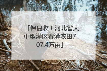 保夏收！河北省大中型灌区春灌农田707.4万亩