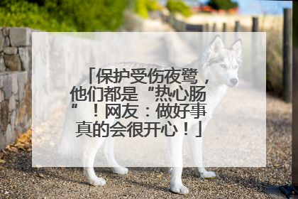 保护受伤夜鹭，他们都是“热心肠”！网友：做好事真的会很开心！