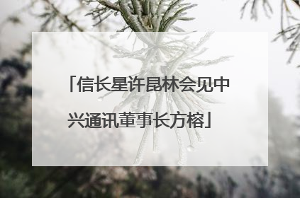 信长星许昆林会见中兴通讯董事长方榕