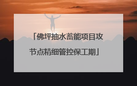 佛坪抽水蓄能项目攻节点精细管控保工期