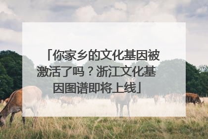 你家乡的文化基因被激活了吗？浙江文化基因图谱即将上线
