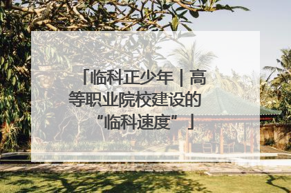 临科正少年｜高等职业院校建设的“临科速度”