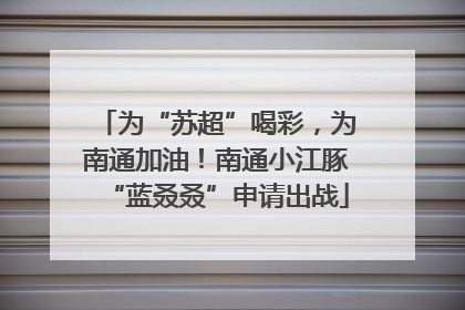 为“苏超”喝彩，为南通加油！南通小江豚“蓝叒叒”申请出战