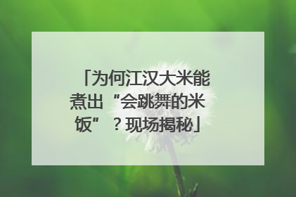 为何江汉大米能煮出“会跳舞的米饭”？现场揭秘