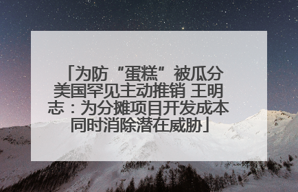 为防“蛋糕”被瓜分 美国罕见主动推销 王明志：为分摊项目开发成本同时消除潜在威胁