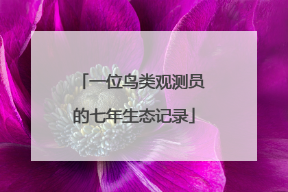 一位鸟类观测员的七年生态记录