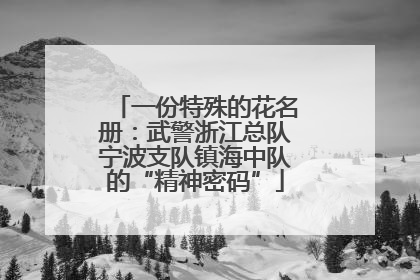 一份特殊的花名册：武警浙江总队宁波支队镇海中队的“精神密码”