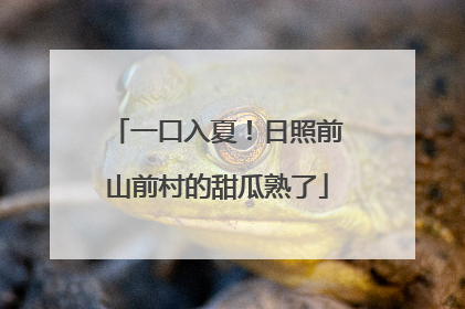 一口入夏！日照前山前村的甜瓜熟了