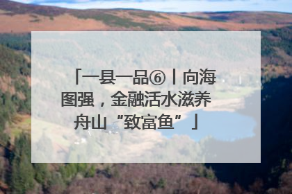 一县一品⑥丨向海图强，金融活水滋养舟山“致富鱼”