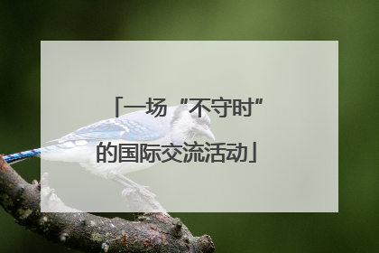 一场“不守时”的国际交流活动