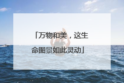 万物和美，这生命图景如此灵动