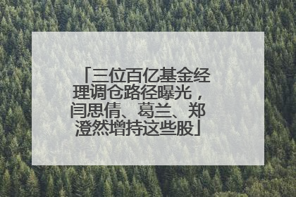 三位百亿基金经理调仓路径曝光，闫思倩、葛兰、郑澄然增持这些股