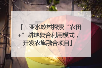 三亚水蛟村探索“农田+”耕地复合利用模式，开发农旅融合项目